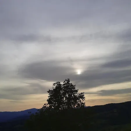 Hébergement de vacances Il Mandorlo