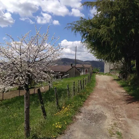 Il Mandorlo Hébergement de vacances *