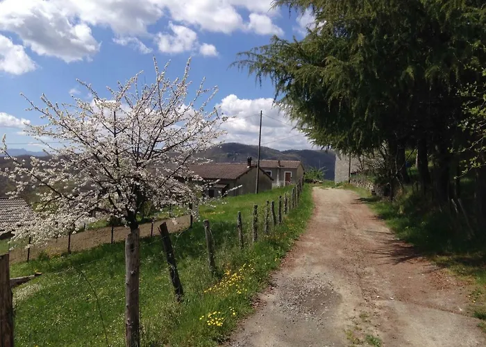 Il Mandorlo Semesterbostad *